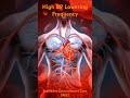 Lower High BP Instantly | Binaural Beats for High Blood Pressure Treatment Frequencies