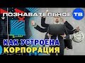 Как устроена корпорация? (Познавательное ТВ, Денис Соколов)