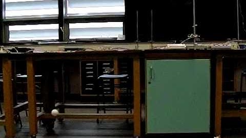 The Monkey and The Hunter