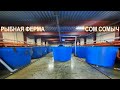 РАЗВЕДЕНИЕ КЛАРИЕВОГО СОМА. Рассказ о хозяйстве. Рыбная ферма Сом Сомыч