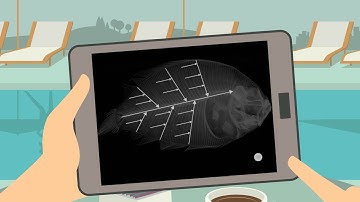 Lean Cause and Effect: How to Create a Fishbone Diagram