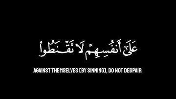 كروما شاشه سوداء القرآن الكريم ✨| تلاوة من الزمر | قاري ضلال دربالي✨