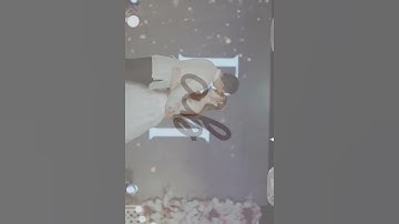 Animated Wedding Monogram | Rap and My | 02.09.2023