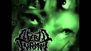 Chaosphere - Prophets