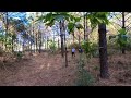 Bosque de la primavera 360° P7