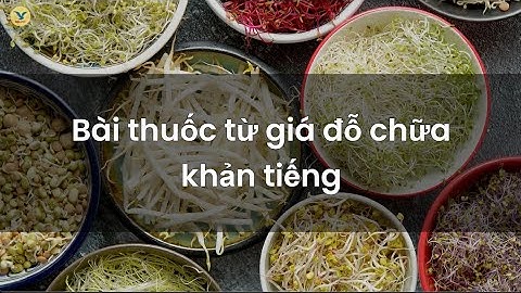 Bài thuốc từ giá đỗ chữa khản tiếng