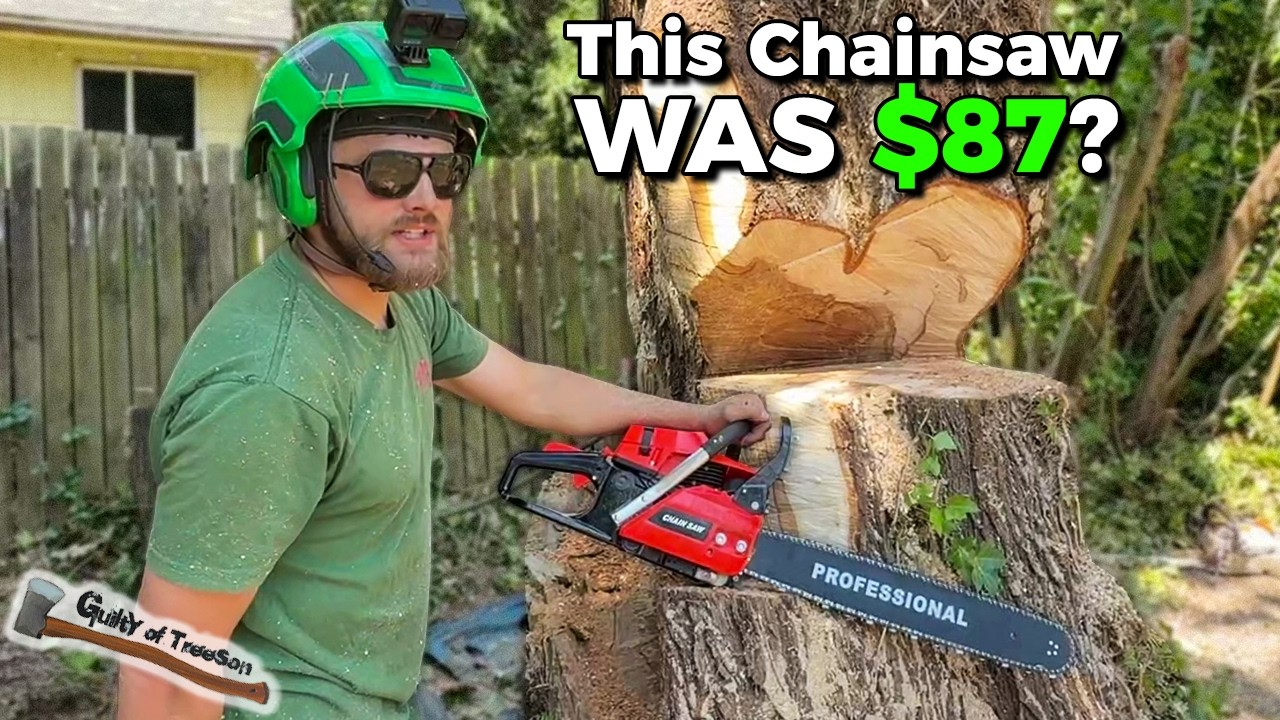 $87 PROFESSIONAL Chainsaw Chainsaw!