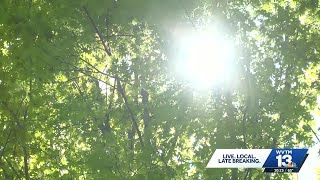 Spring allergies surge as pollen blankets Birmingham