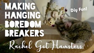 Hamster Boredom Breaker // Hanging Toilet Paper Roll Treats