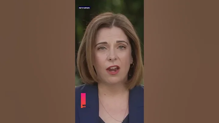 Anika Wells Travel Scandal Explained: Political Hit Job or Real Problem? #shorts