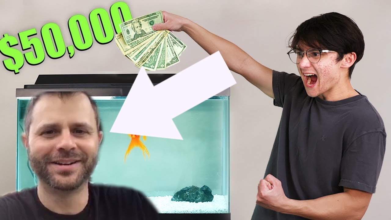 TheStockGuy Reacts to New Michael Reeves Video 'I Gave My Goldfish $50,000 to Trade Stocks'