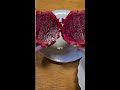 #ASMR How do you cut a #Dragon #fruit #amazing #cute #enjoy #asmrsounds #funny #viral