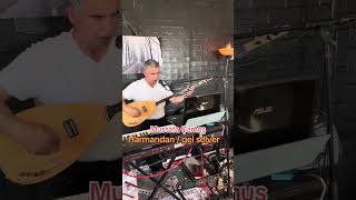 Harmandan gel selver