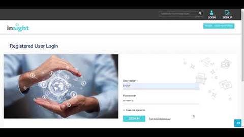 Introducing the Insight Customer Portal