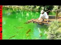 Fish stocking a secret crystal water garden oasis pond