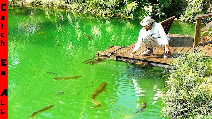 FISH STOCKING a SECRET CRYSTAL Water GARDEN OASIS POND!