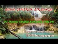 Audio Gemercik Air Sungai Di Iringi Suara Burung Ciblek Bagus Buat Masteran Burung Apapun Mp3 - Mp4 Download