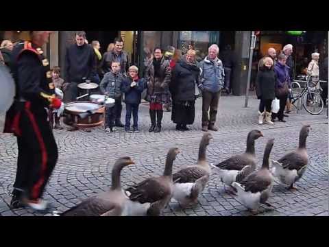 Ganzenfanfare