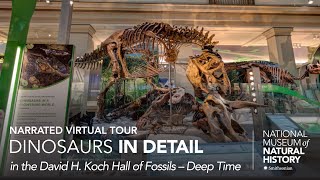 Narrated Virtual Tour: David H. Koch Hall of Fossils – Deep Time Exhibit – Dinosaurs in Detail