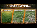 ONE YEAR Update: Forestry Mulching + Grass Seed Experiment Results