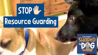 Resource Guarding: Dog vs Dog Aggression #66