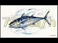 The Fastest Creatures in the Sea