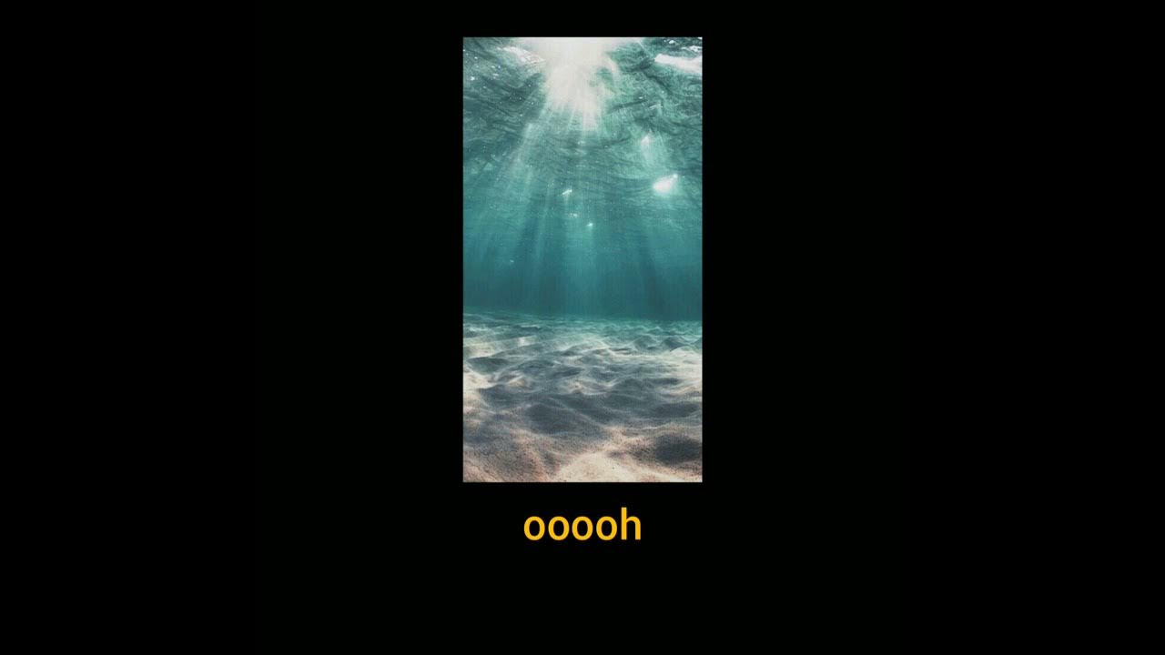 Alok, Zeeba and IRO -Ocean (Para status)