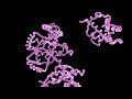 Understanding Organic Molecules