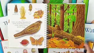 Animal Camouflage - My First Discoveries (MFD)