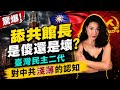 為什麼臺灣網紅去中共國總是讚不絕口？ 館長