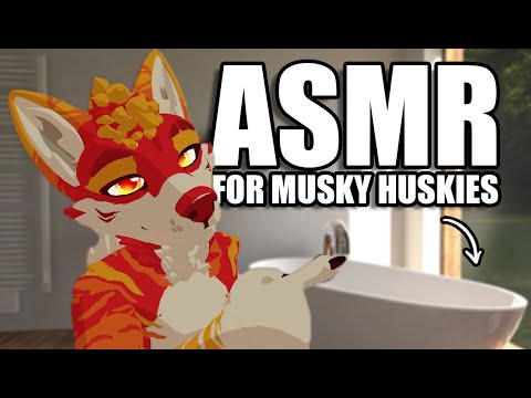 An Extremely Relaxing Furry ASMR for Musky Huskies 🧼 (Personal Attention)