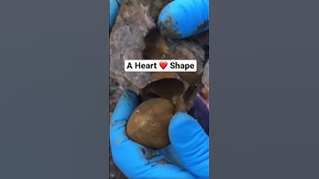 Fossil Hunter’s Heart ♥️ Shaped Prehistoric Find ! #shorts