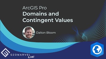 ArcGIS Pro | Domains & Contingent Values