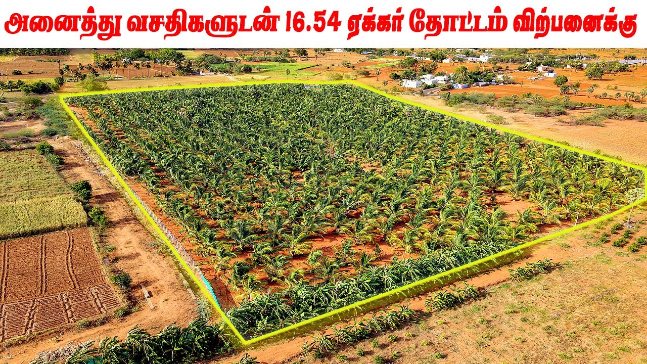 🌴 அனைத்து வசதிகளுடன் 16.54 ஏக்கர் தோட்டம் விற்பனைக்கு | Farm Land For Sale in Coimbatore