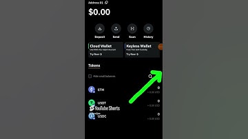 How to import or add token to Bybit web3 wallet #shorts