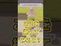 【ぽこあポケモン】ダウジングでお宝探しに出かけるとすごいところから掘らされる！【ぽこポケ】