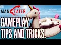 Maneater: Gameplay Tips and Tricks