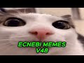 ECNEBI MEMES V48