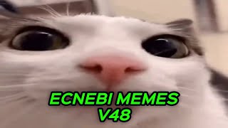 ECNEBI MEMES V48