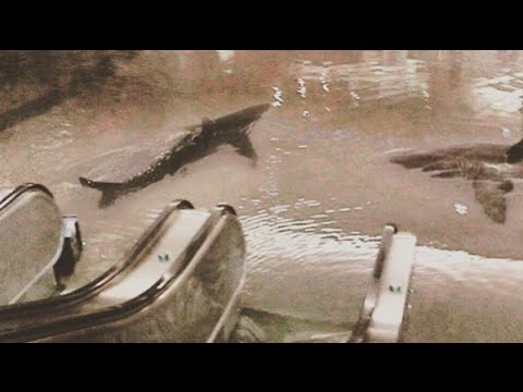 Houston Galleria Flood Raw Footage!!! Texas Flood 4-18-2016