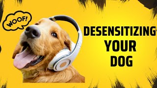 Desensitizing Your Dog to Jungle and Safari Sounds with White Noise