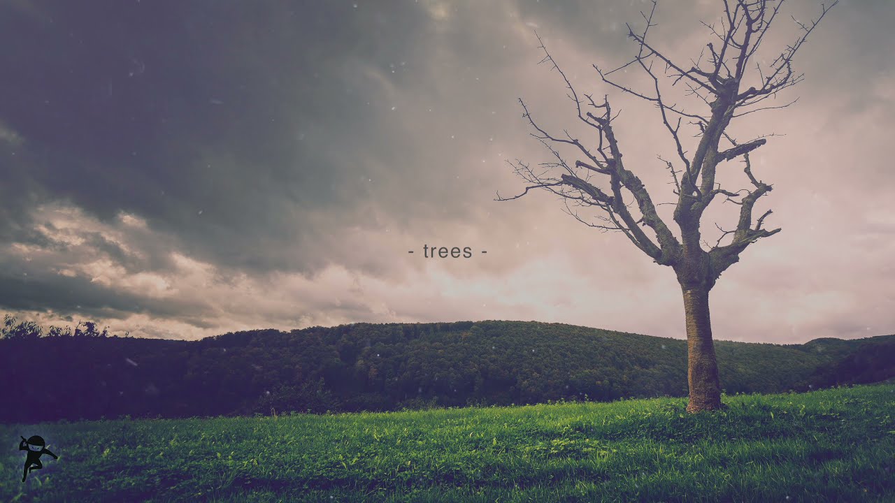 Watch Young Pop Renegades, "trees" - Xander Sallows, Nitro X (Official Audio) on YouTube Watch Young Pop Renegades, "trees" - Xander Sallows, Nitro X (Official Audio) on YouTube
