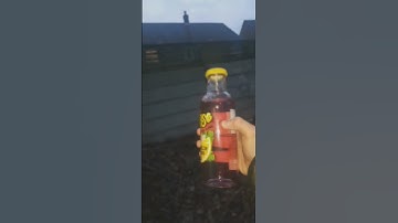 How to drink a Calypso