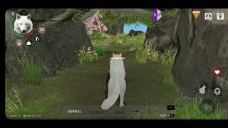 wolf online 2-how to become a puppy?