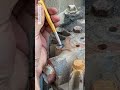 How to remove a broken bolt