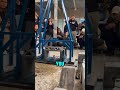 “The Egg That Refused to Break: Chile’s Extreme Impact Test Competition!” #shortvideo