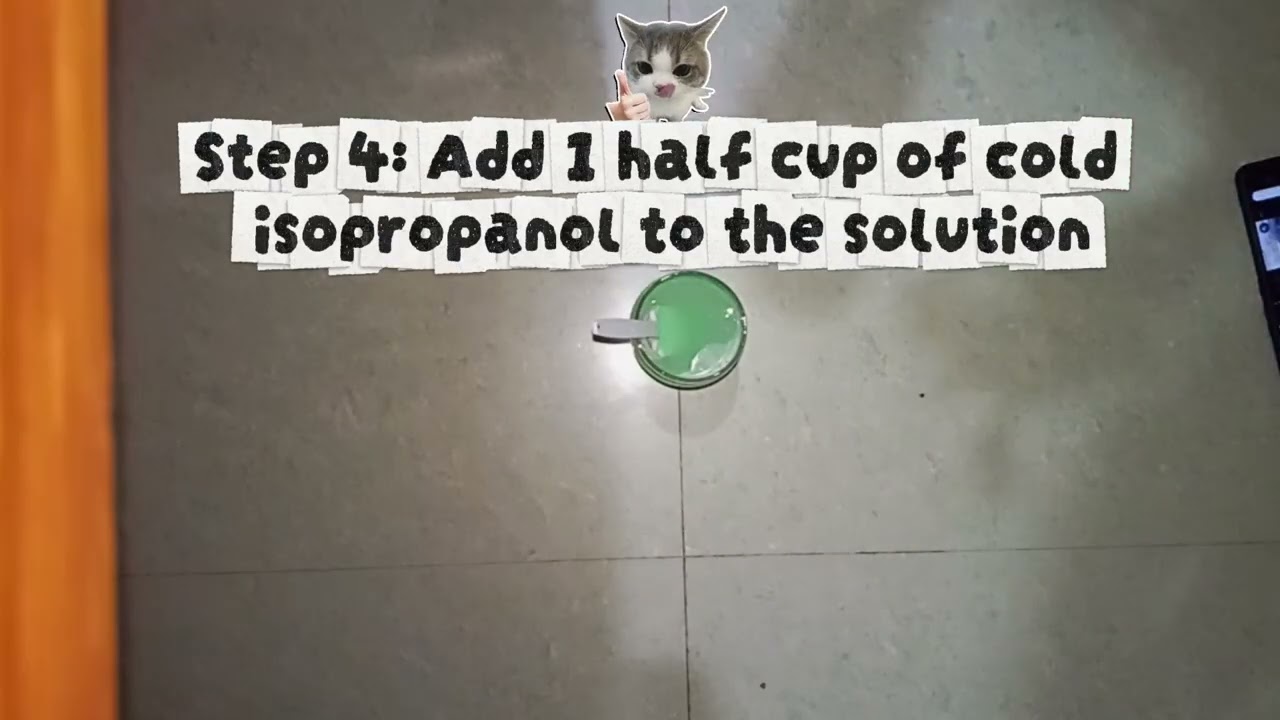 Forensic 3: DNA Extraction 