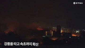 CHÁY RỪNG Ở HÀN QUỐC, HƠN 4000 NGƯỜI SƠ TÁN...