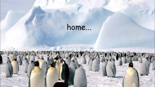 Antarctica Quiz Video