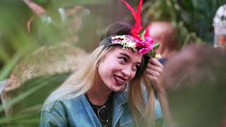 Don Papa- Bar Of Mask In Antwerp